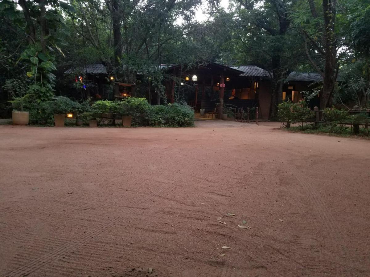 The Inn On The Tree Sigiriya Exteriér fotografie