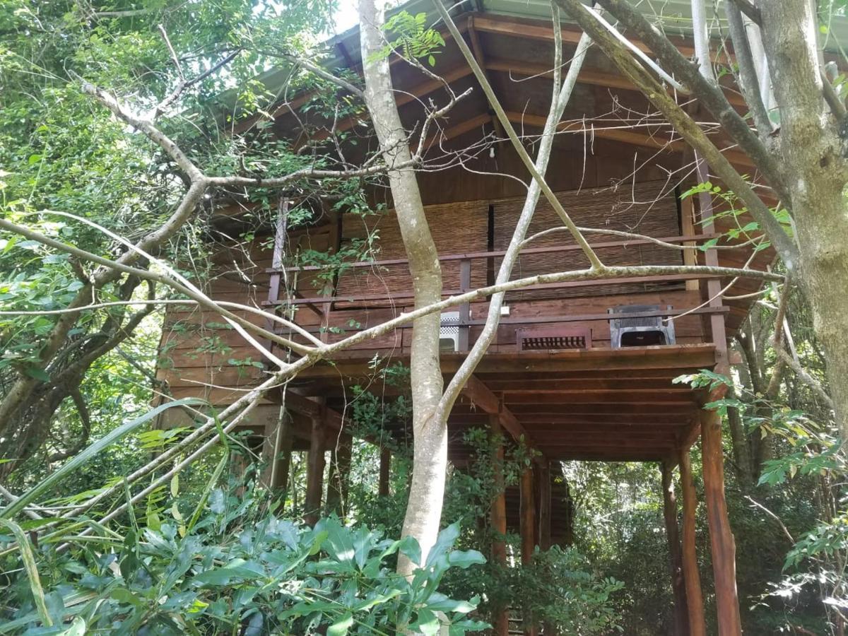 The Inn On The Tree Sigiriya Exteriér fotografie