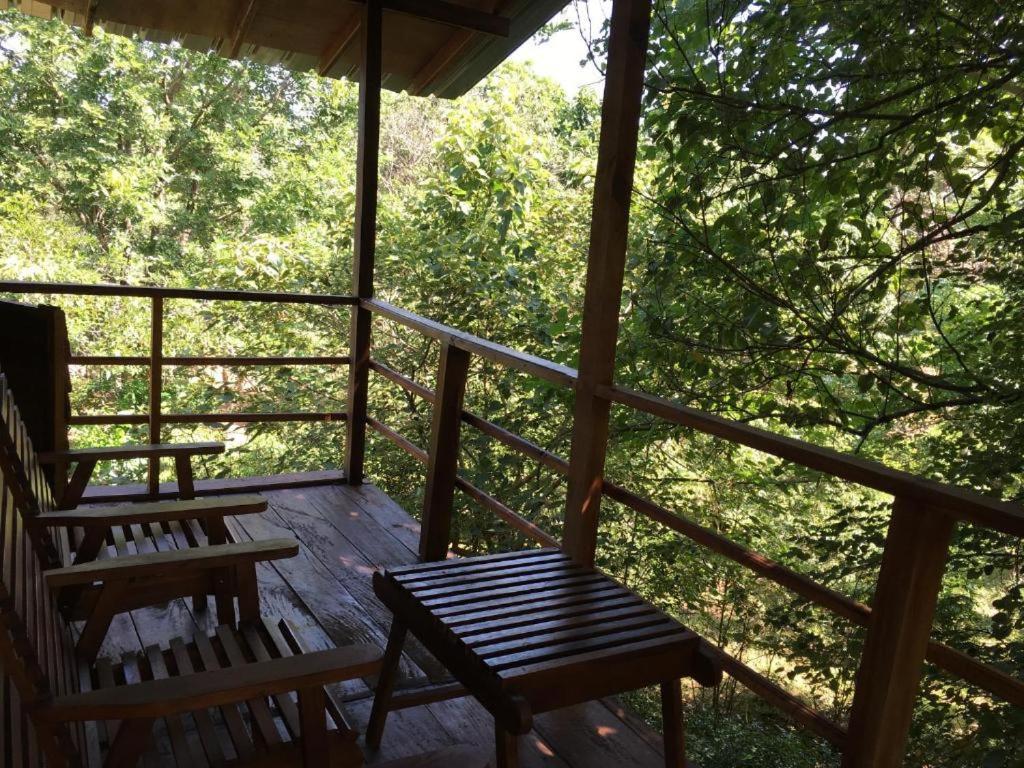 The Inn On The Tree Sigiriya Exteriér fotografie