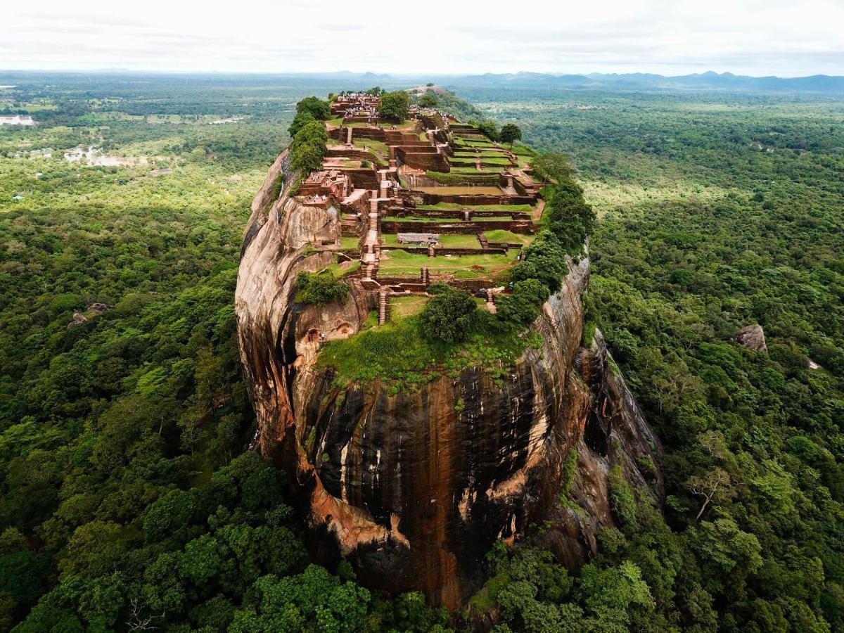 The Inn On The Tree Sigiriya Exteriér fotografie
