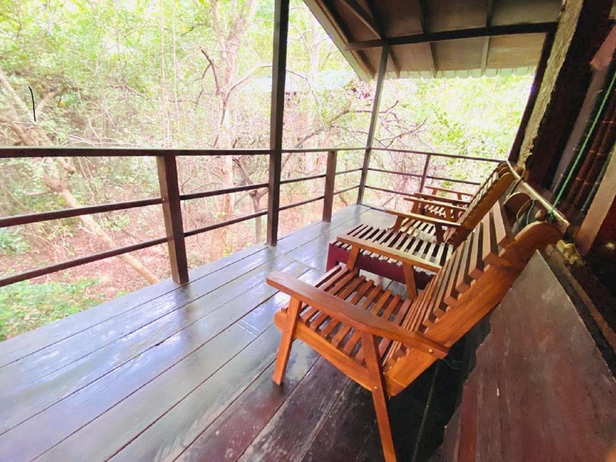 The Inn On The Tree Sigiriya Exteriér fotografie