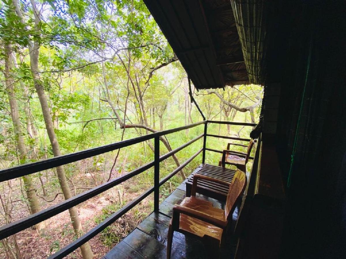 The Inn On The Tree Sigiriya Exteriér fotografie